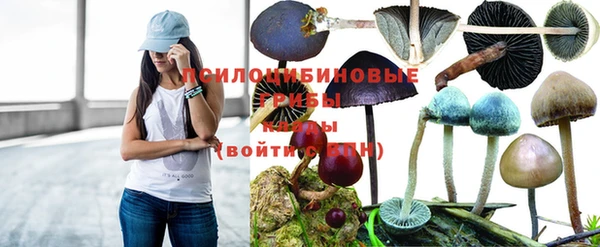 амфетамин Каменка