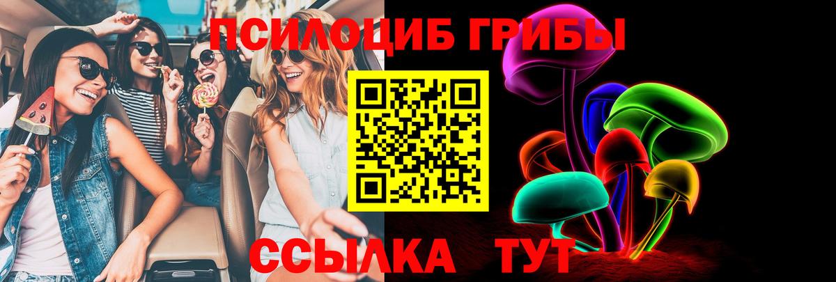 Псилоцибиновые грибы Cubensis  Вход с VPN  Костомукша 